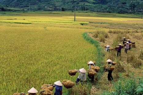 Tour Du Lịch Hà Nội - Mỹ Tho - Phan Thiết - Đà Lạt 6 Ngày